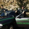 Cerignola: Guardia Nazionale Ambientale rinviene discarica abusiva