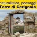 A tu per tu con Andrea Gammino: il blogger di  "Terre di Cerignola " si racconta