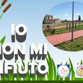 Orta Nova - "Io non mi rifiuto ", i volontari della Misericordia ripuliscono le aree degradate.