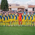 Audace Cerignola:  "operazione AZ Picerno...”