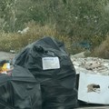Rifiuti abbandonati nei dintorni della Lidl: la condanna dell'amministrazione di Cerignola