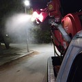 West Nile, circolare ASL ai sindaci: alcune precauzioni, senza allarmismi. Disinfestazioni straordinarie a Cerignola