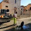 Domani notte la disinfestazione a Cerignola. Avanti la derattizzazione della rete fognaria