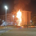 Incendio nel Parco 2 Giugno a Cerignola : palme avvolte dalle fiamme nella notte