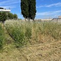 Manutenzione dei terreni privati a Cerignola: obblighi, sicurezza e prevenzione incendi
