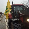  "In Puglia grano dall'estero senza controlli ": la marcia dei trattori di Coldiretti verso Matera