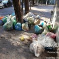 Rifiuti abbandonati a Cerignola, interventi straordinari anche a Ferragosto
