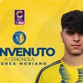 Audace Cerignola: Andrea Moriano è un nuovo calciatore del Cerignola