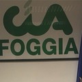 Cia Foggia: “Sull’olio e l’economia blu la Capitanata è unita”