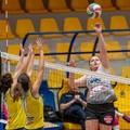 Pallavolo Cerignola, sfida interna contro Torre Santa Susanna