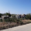 Abbandono di rifiuti a Cerignola in località Borgo Moschella