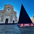 Natale a Cerignola 2024: gli Uffici al lavoro per gli ultimi preparativi