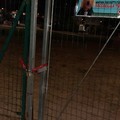 Lo sgambatoio per cani del parco Baden Powell a Cerignola è chiuso “per ferie”