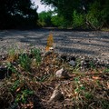 Strade e scuole provinciali, scarsi i fondi destinati