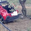 Marasco e Ispettori Ambientali Territoriali Civilis: “In una settimana trovate in agro di Cerignola 35 auto cannibalizzate"