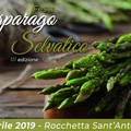 Rocchetta Sant'Antonio: la Festa dell'Asparago tra sapori, gusti e tradizioni contadine