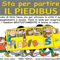 Un bus ecologico che t porta a scuola, Misericordia di Orta Nova attiva piedibus.