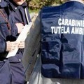 Blitz a Stornara: sequestrati autoparchi e autofficina