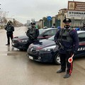 Arrestato a Stornara 24enne bulgaro, era ricercato in tutta Europa
