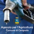 Assegnazione suppletiva carburante ad accisa agevolata