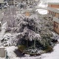 Nevicata storica del 31 Dicembre 2014 a Cerignola