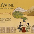 Degustazioni e produzioni locali, a Cerignola la seconda edizione di CeriWineFest