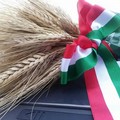 Alleanza tra Bari, Bat e Foggia per difendere il grano italiano