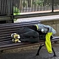 Giovane dorme su una panchina a Cerignola: la segnalazione sui social