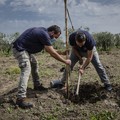 “Pietra di Scarto” e “ZeroCO2” insieme per piantare alberi ad alto impatto sociale