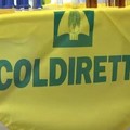Lavoro: Coldiretti Foggia, pubblicato bando per kit sicurezza. Calano infortuni in agricoltura.