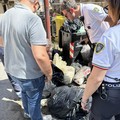 Trasgressori della raccolta differenziata a Cerignola: ecco come vengono individuati