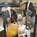 Cerignola: sequestrato opificio che miscelava olio di semi a clorofilla spacciandolo per olio extravergine di oliva -FOTO-