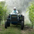 Firmato il nuovo contratto per gli agricoli e i florovivaisti della provincia di Foggia