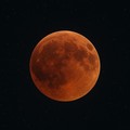 Eclissi totale di Luna visibile oggi anche a Cerignola