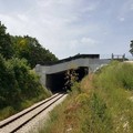 Circolazione ferroviaria sospesa quest'estate sulla linea Potenza-Foggia.