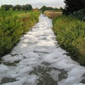 Acqua al veleno, la Puglia fa finta di niente