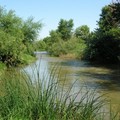 Il fiume Ofanto si candida a diventare Parco nazionale