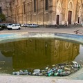 Lo sfogo dell’Assessore all’Ambiente Sforza: “A Cerignola lo sdegno per l’inciviltà non ha limiti”