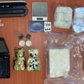 Troia e Foggia: intensificati i controlli dei Carabinieri sul territorio