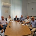  "West Nile Virus non si trasmette da persona a persona e non contagia alimenti ": la nota di ASL Foggia