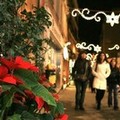 Natale 2015 a Cerignola: il bilancio dei commercianti