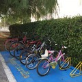 La Misericordia di Orta Nova inaugura il primo bike sharing cittadino