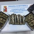 Servizi interforze  "alto impatto "  a Cerignola. I risultati