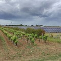 Terra mangiata da impianti fotovoltaici (37%), subito legge contro pannelli selvaggi