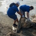 I volontari della Fratres di Zapponeta puliscono la spiaggia