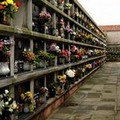 Orta Nova, presto nuovi loculi al Cimitero Comunale