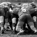 RUGBY, Sabato 23 gennaio ore 15.30 Orta Nova (Fg) campo comunale Fanelli