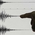 Sciame sismico tra Campobasso e Foggia: oltre 22 scosse in meno di 24 ore