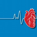 Rubato camper a Cerignola, salta lo screening di prevenzione al cuore