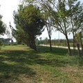 “L’uomo e gli (altri) animali”: evento culturale a Cerignola
